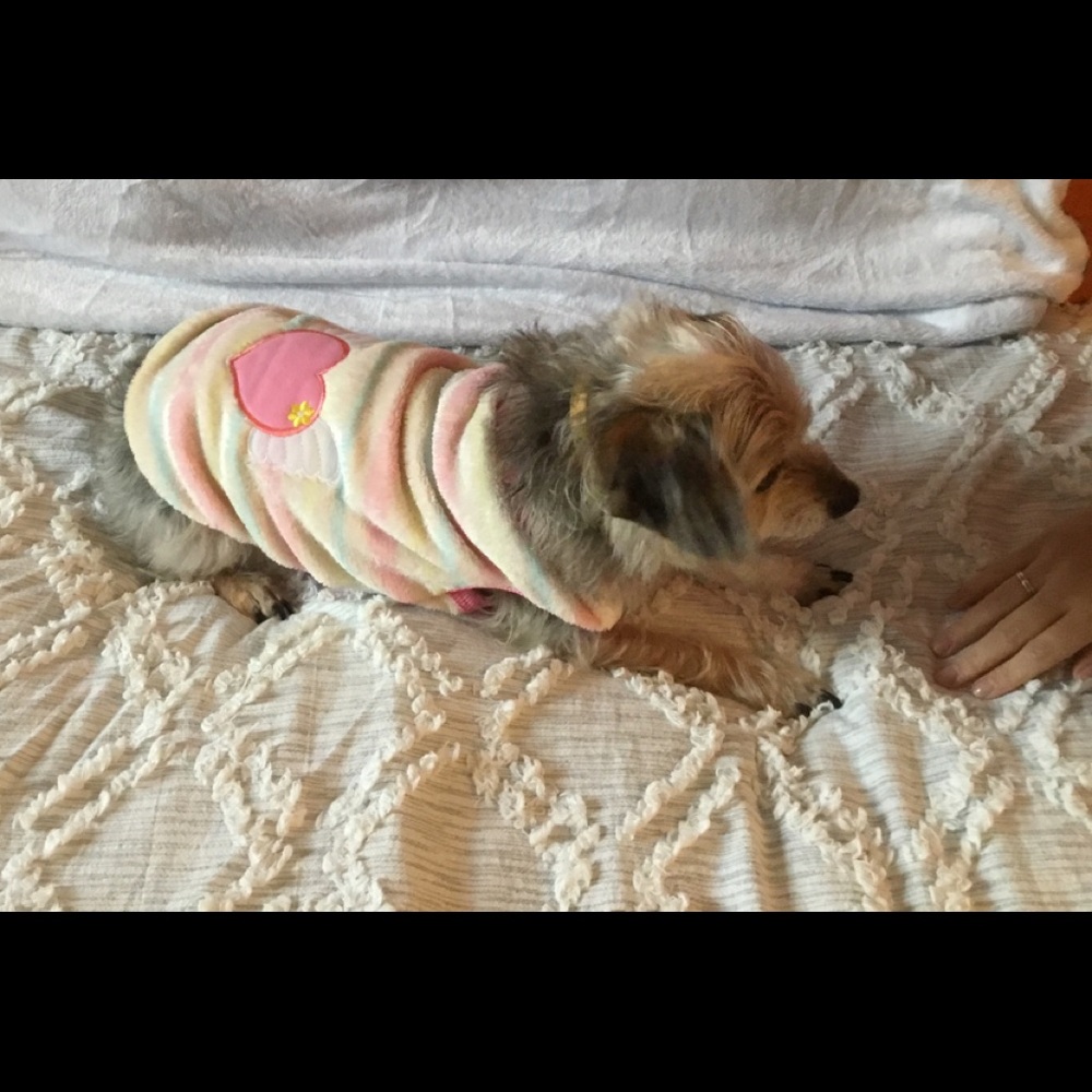 Dog Sweater Fleece Cream & Pink Heart Pastel Stripes SMALL NEW